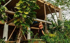 Amaranthus Hotel